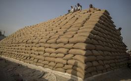 مافیا و سود واردات گندم / آیا واردات گندم لازم است؟