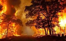 آتش‌سوزی‌های جنگلی در خرداد ۹۹ نسبت به خرداد ۹۸