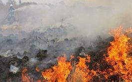 معضل کمبود امکانات و تجهیزات در آتش‌سوزی جنگل‌ها