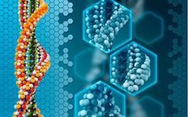 زیست کامپیوتر ساخته شده از رشته‌های DNA
