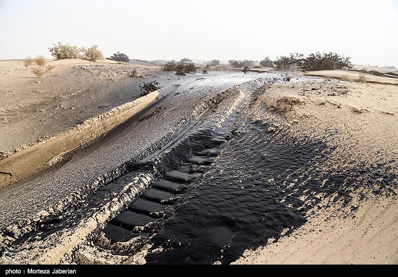 در کش‌وقوس سرطان‎‌زابودن مالچ‌های نفتی