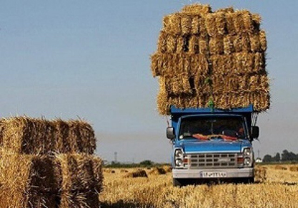 قاچاق کاه و کلش در غرب ایران